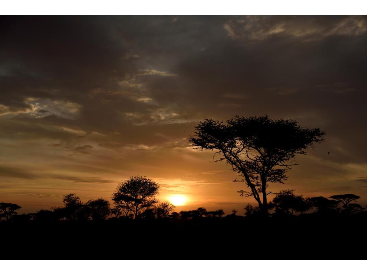 Ikoma Bush Camp Robanda Exterior photo
